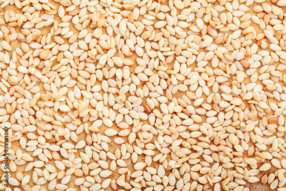 sesame sesame