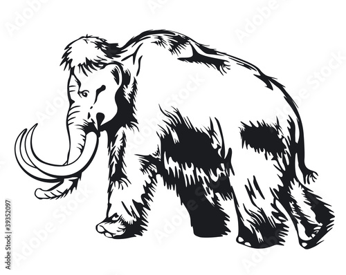 Mammut