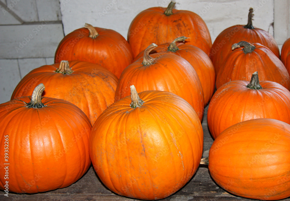A Great Collection of Freshly Grown Orange Pumpkins. A Great Collection of Freshly Grown Orange Pumpkins.