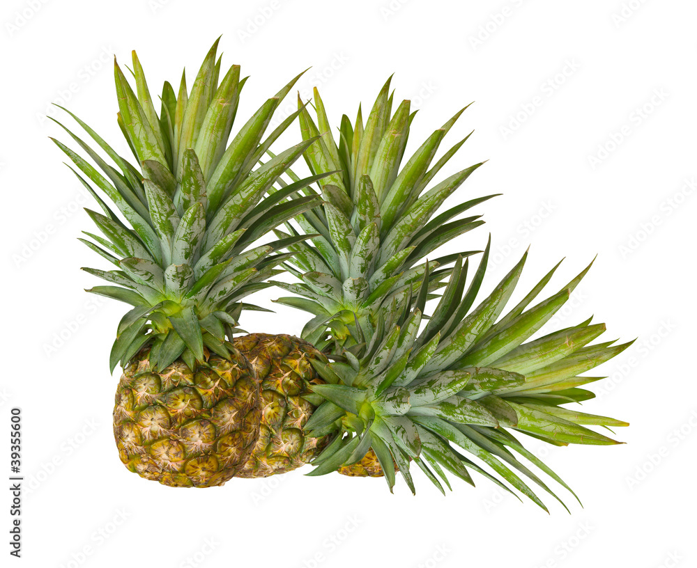 Obraz premium Fresh pineapple