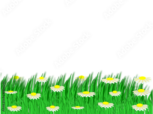 wiese