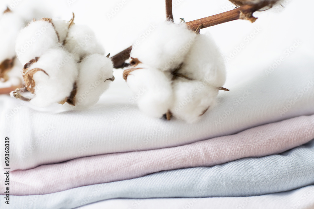 Cotton flower. Cotton flower.