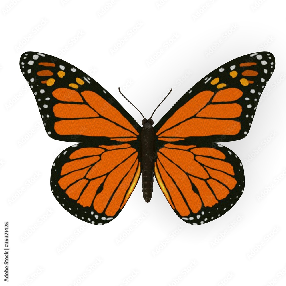 Fototapeta premium 3d render of monarch butterfly