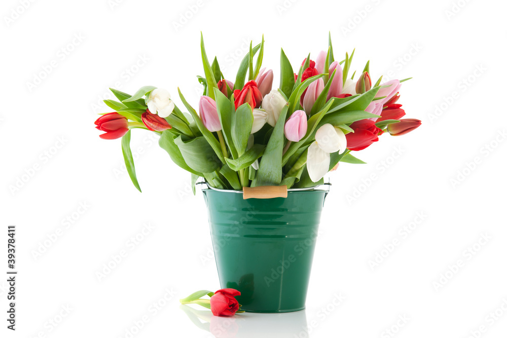 Green vase tulips