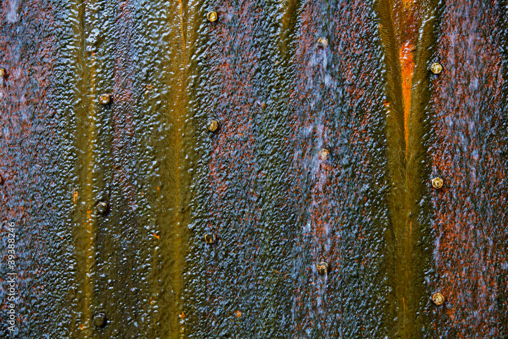 Wet mossy rusty steel plate Wet mossy rusty steel plate