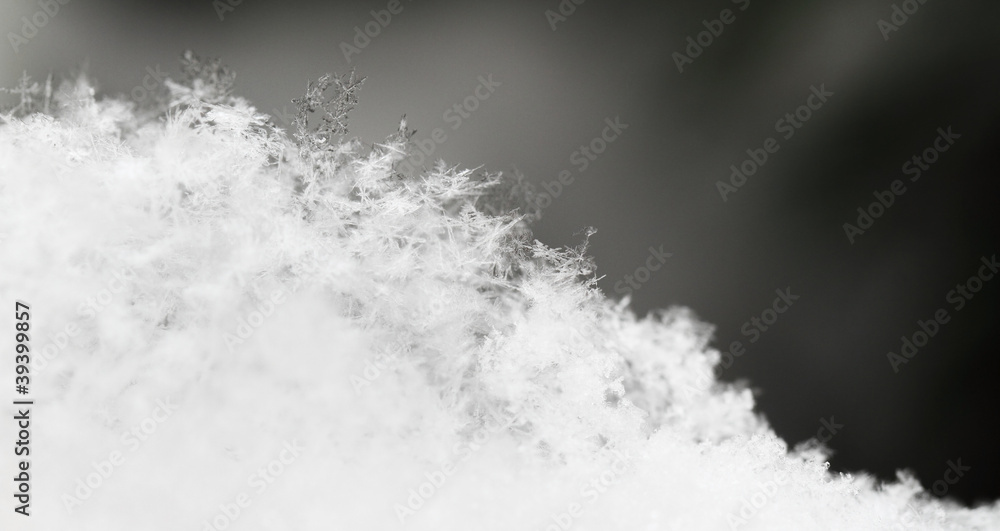 Fototapeta premium snowflake in white snow