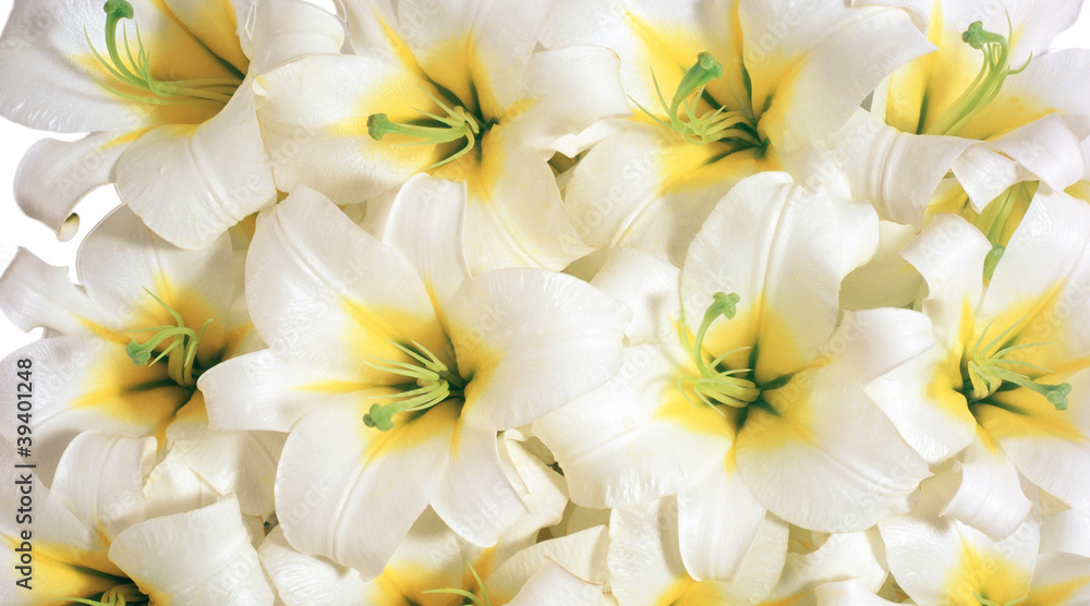 flowers-lilies flowers-lilies