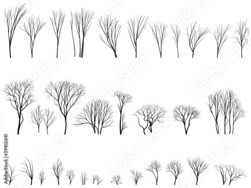 Silhouettes of trees and bushes without leaves.