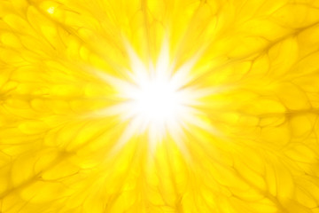 Keuken achterwand Plakjes fruit Sinaasappel macro als stralende zon  © Taiga