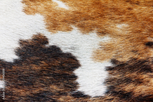 close up of cowhide background photo