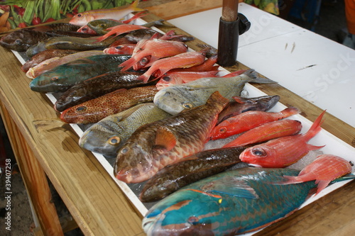 Fischmarkt in der Karibik