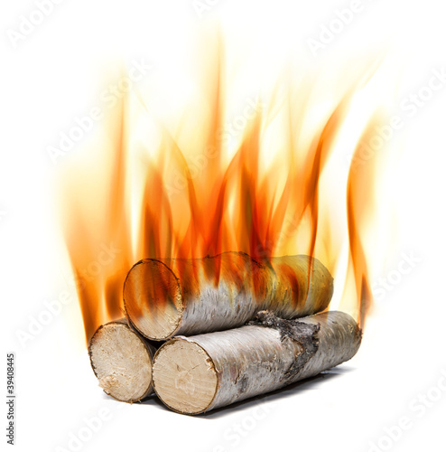 Brennholz