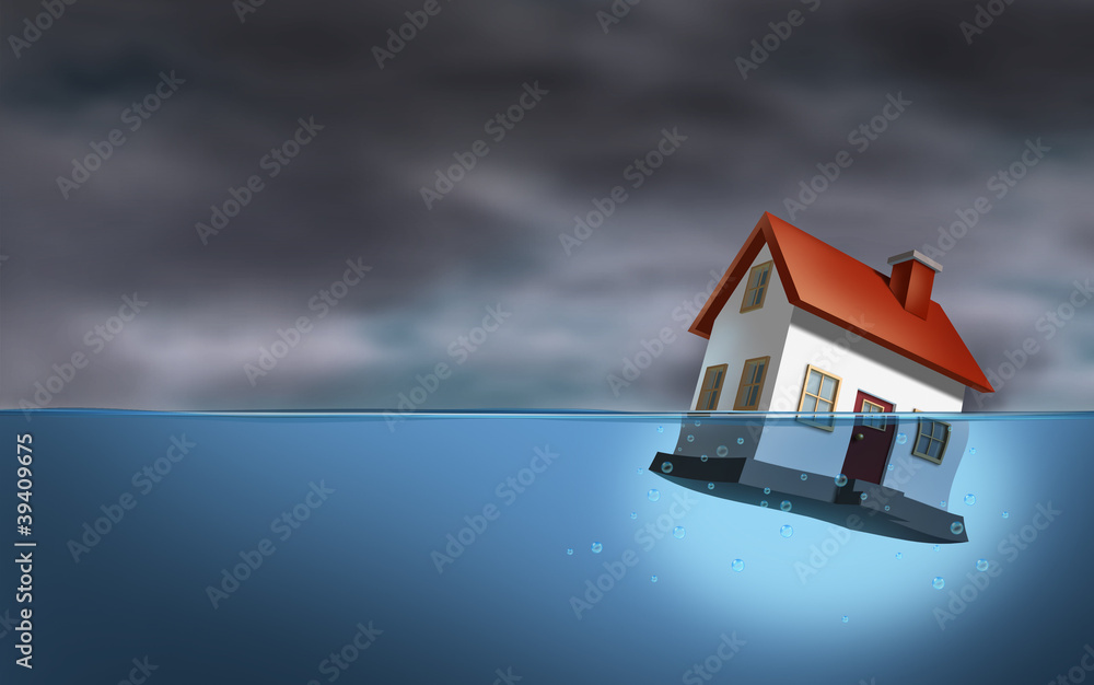 Real Estate Crisis Real Estate Crisis