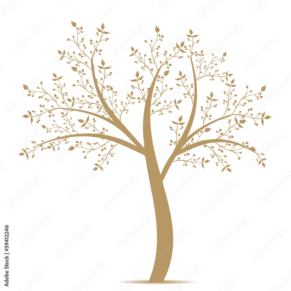 Olive Tree Olive Tree
