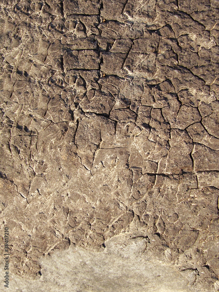 texture texture