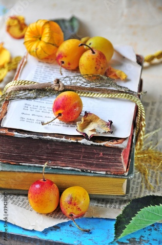 Mirabellen auf antiken Büchern photo