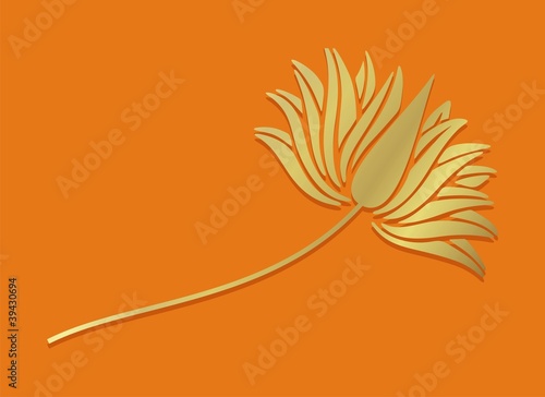 Fototapeta Naklejka Na Ścianę i Meble -  water lily, India