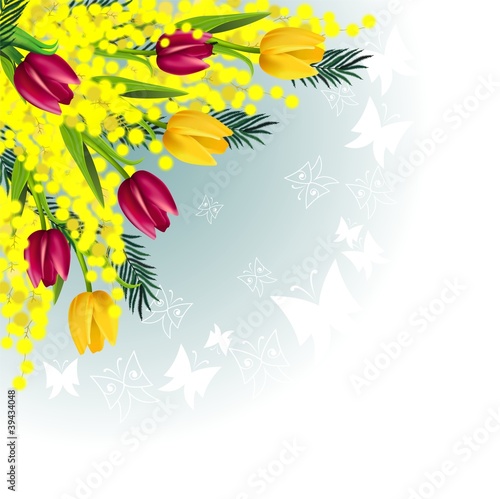 Mimosa tulips corner