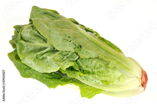 Salade romaine photo