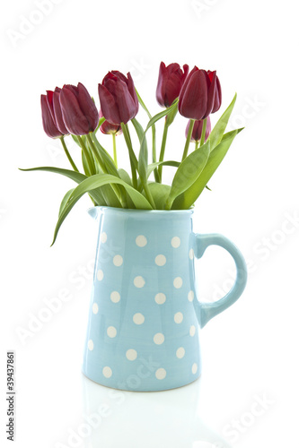 Red tulips in a blue spotted jug on white background