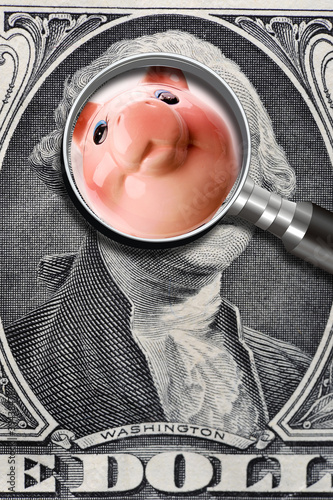 Εκτύπωση καμβά George Washington and Pink Piggy.