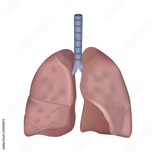 smokers lung medical eps10 vector illustration