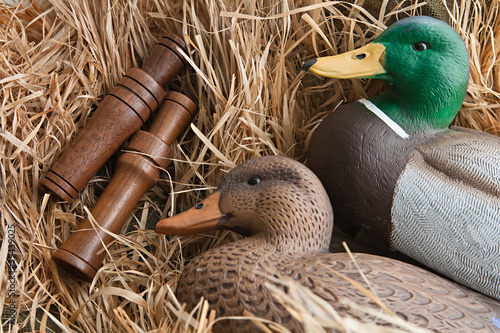 duck decoy with stuffed and calls