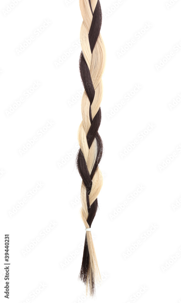 Pigtail isolated on white