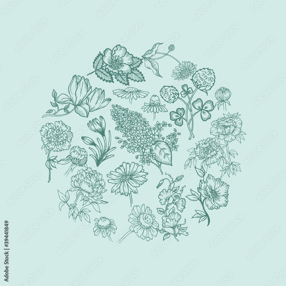 Vintage Card with Various Flowers  - in vector