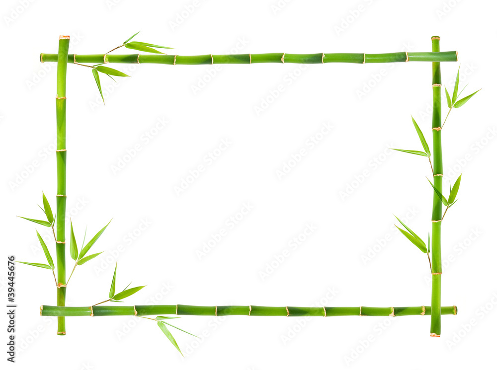 Obraz premium Bamboo frame