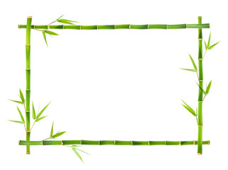 Bamboo frame