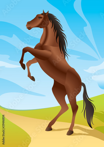 Wild horse in the fields - vector illustration