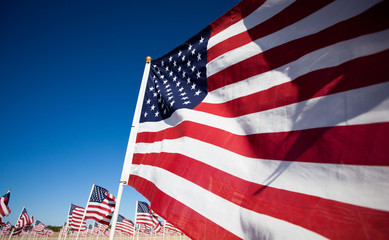 Amereican Flag display commemorating national holiday