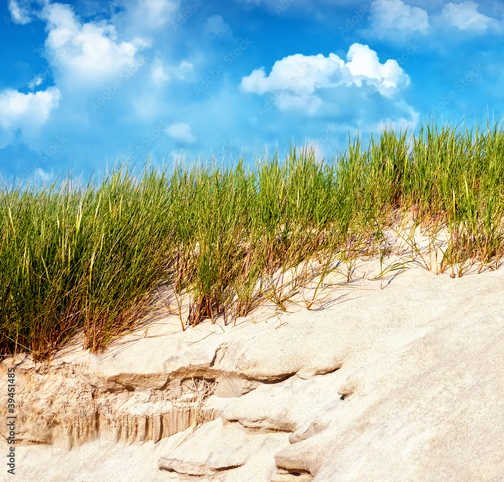 Düne StockFoto Adobe Stock