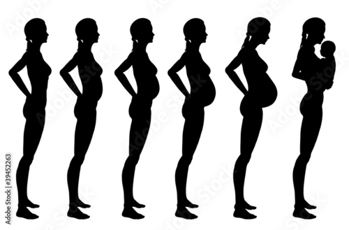 Stages of pregnancy of the woman