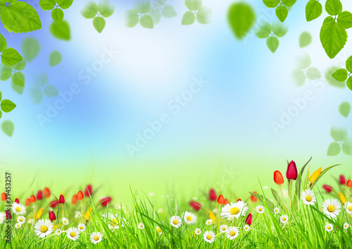 Beautiful spring background with blooming flowers in grass
