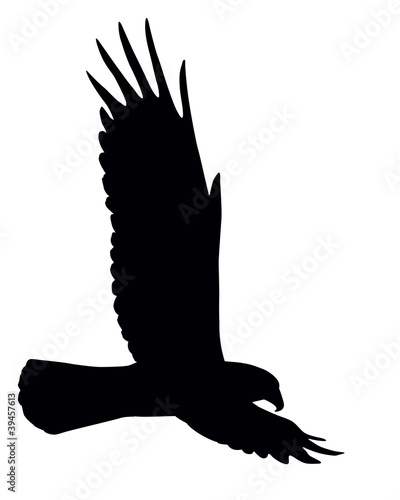 Silhouette of flying eagle isolated