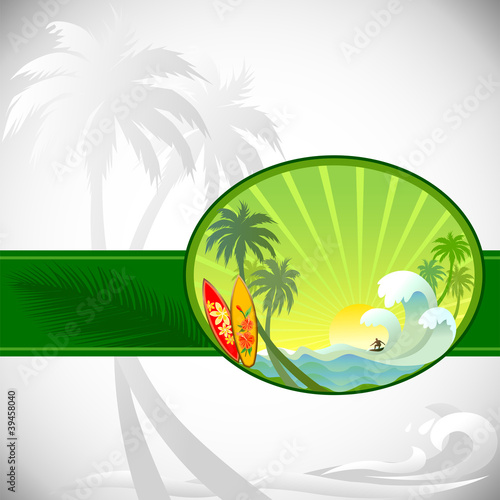 Surfing Adventures On a Tropical Island