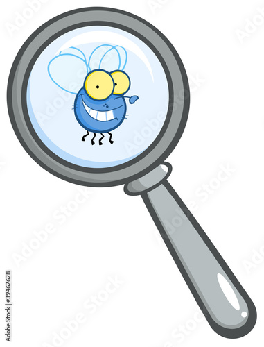 Magnifying Glass With Fly