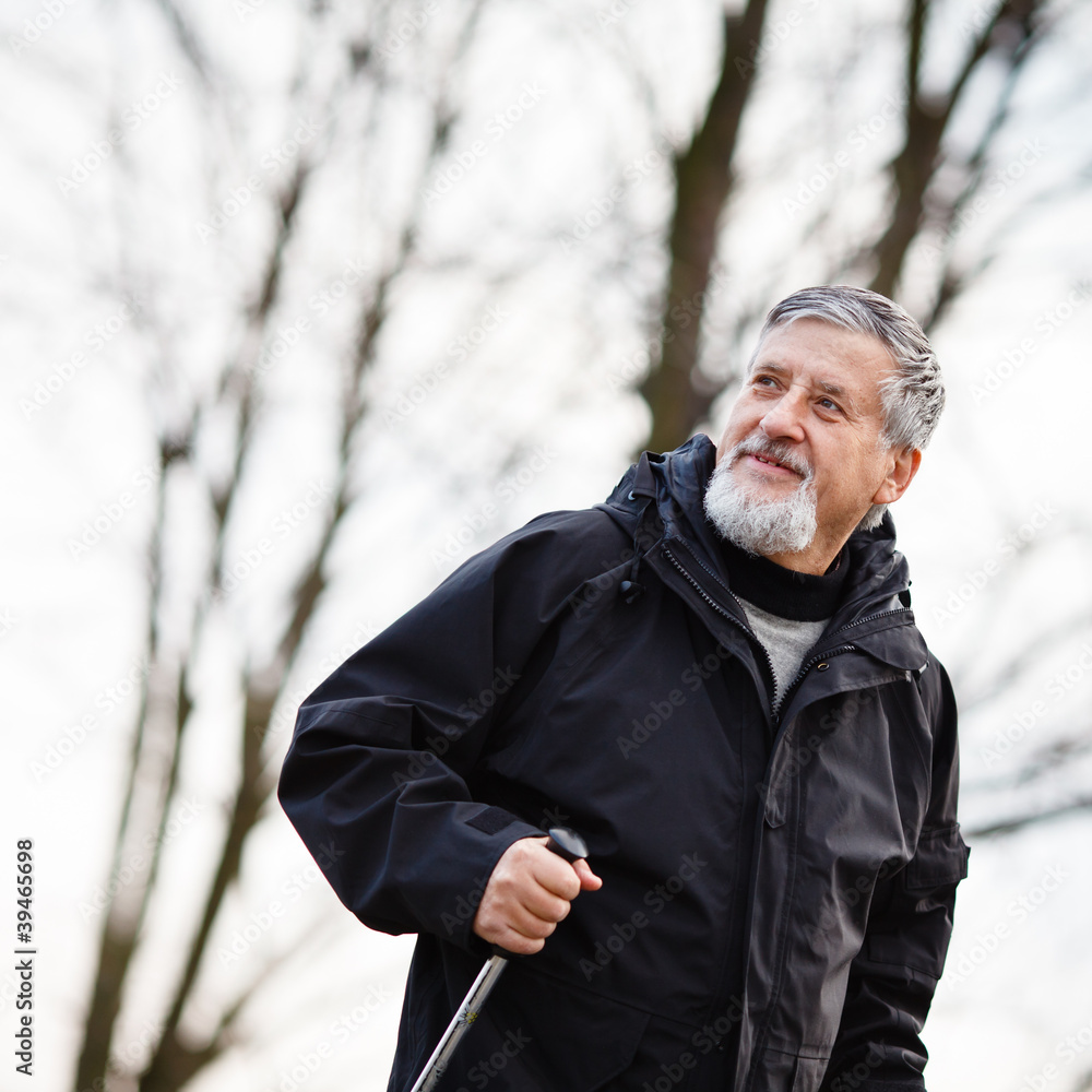 Senior man nordic walking Senior man nordic walking