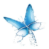water splash buttefly isolated