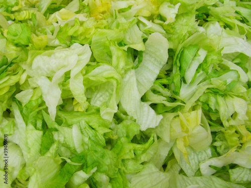 Tapety artystyczne Ensalada de lechuga