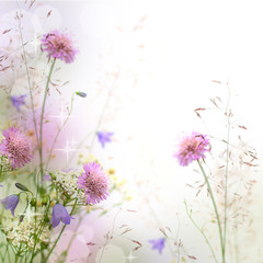 Beautiful pastel floral border - blurred background