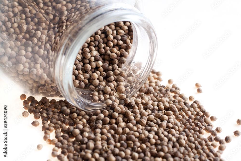 kinza, coriander kinza, coriander