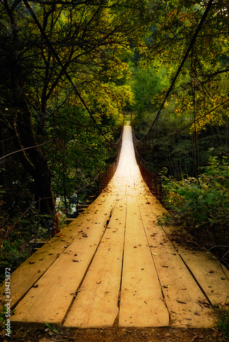 Obraz na płótnie suspension bridge w salonie