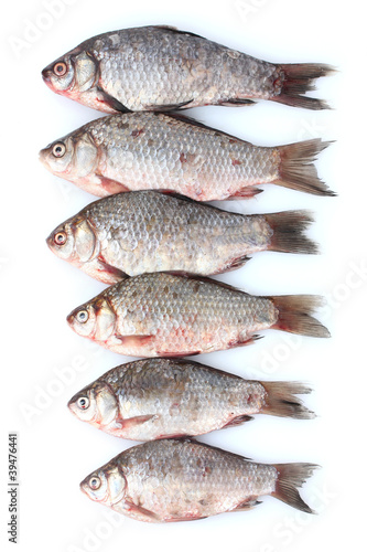 Fresh fishes isolated on white