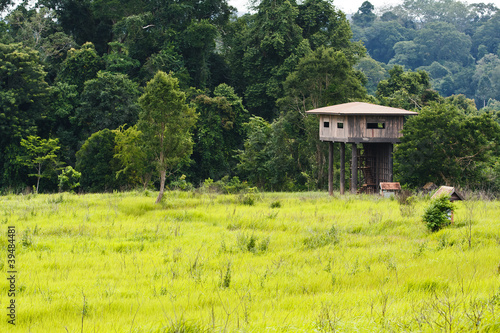 Animal view tower