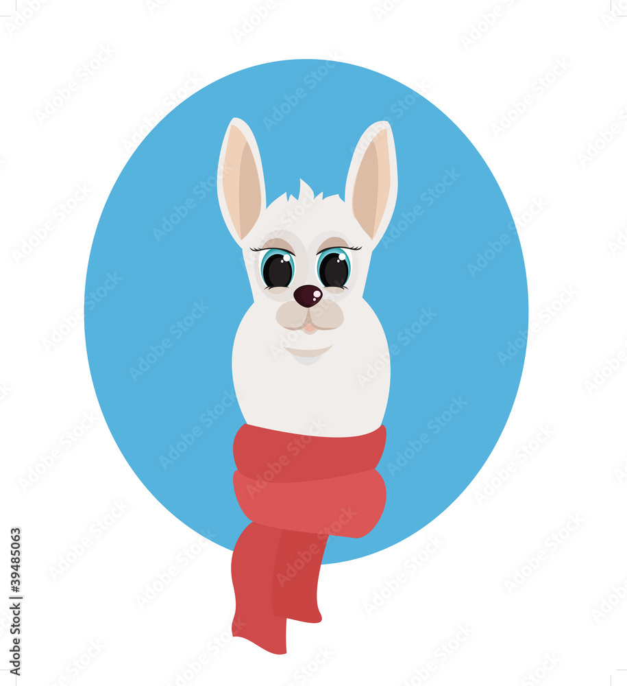 lama with scarf lama with scarf