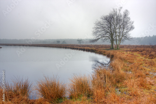 Pond on a heath on a misty morning in winter