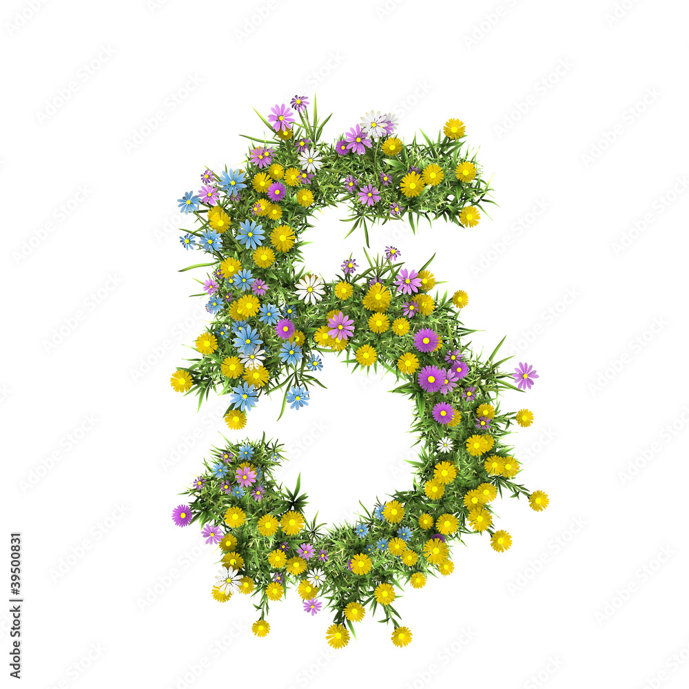 Number 5, flower alphabet isolated on white Number 5, flower alphabet isolated on white
